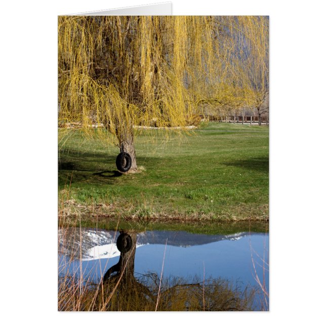 Spring Pond Comfort Card (Front)