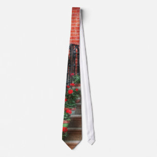 Spring - Porch - Hoboken, NJ - Geraniums on stairs Tie