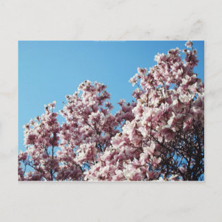 spring postcard