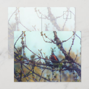 Spring Postcard