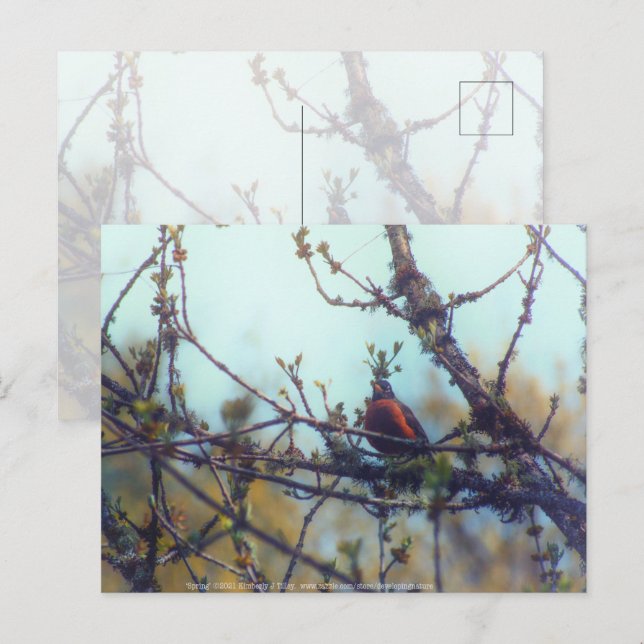 Spring Postcard (Front/Back)