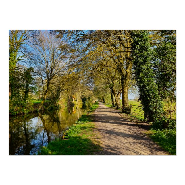 Spring Poster (Front)