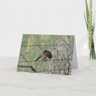 Spring Prayer, Robin Thank You Card