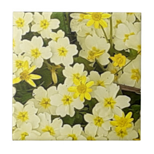 Spring Primroses Ceramic Tile
