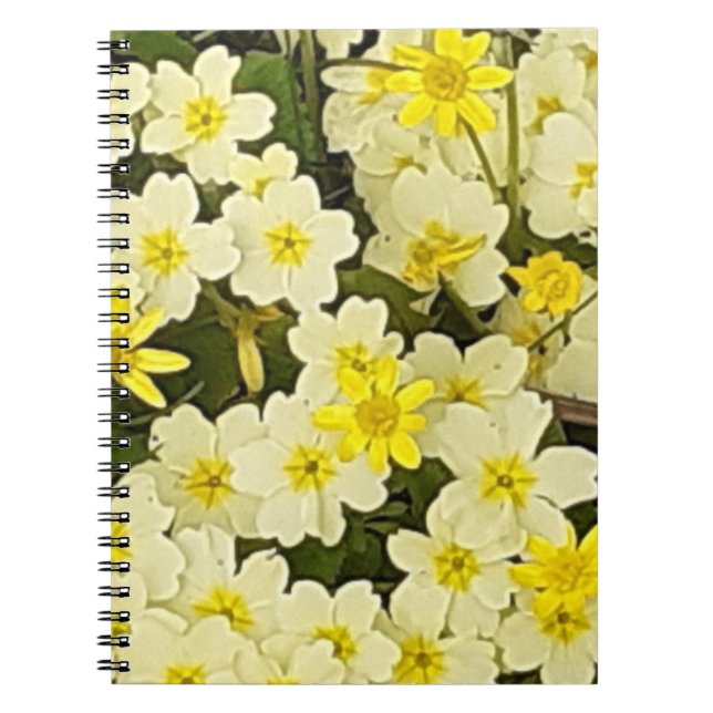 Spring Primroses Photo Notebook (Front)