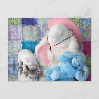 Spring Puppy Love Postcard