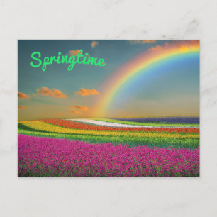 Spring Rainbow Vibrant Colourful Flowers Postcard
