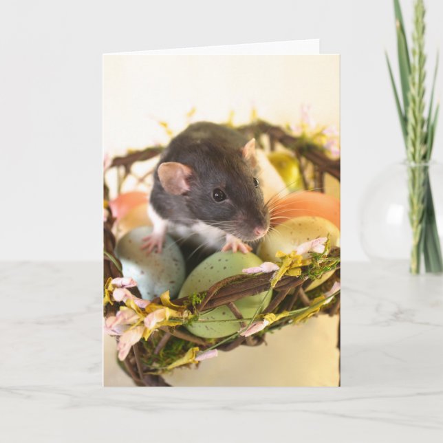 Spring Rat Card (Front)