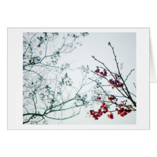 Spring Reach-Out/Cherry Blossoms Blank