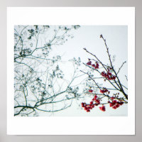 Spring Reach-Out/Cherry Blossoms Photo-Print