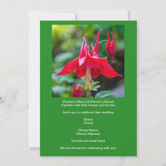 Spring Red Columbine Native Flower on Green Invitation