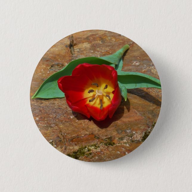 Spring Red Tulip 6 Cm Round Badge (Front)