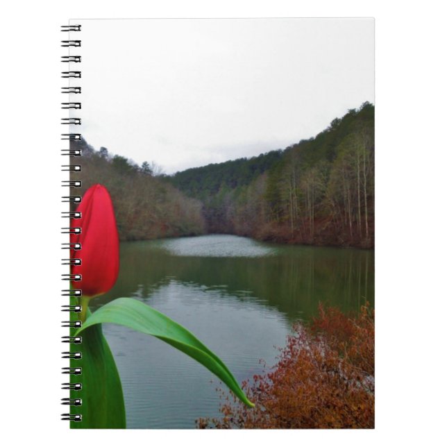 Spring Red Tulip at Lake Arrowhead Notebook (Front)