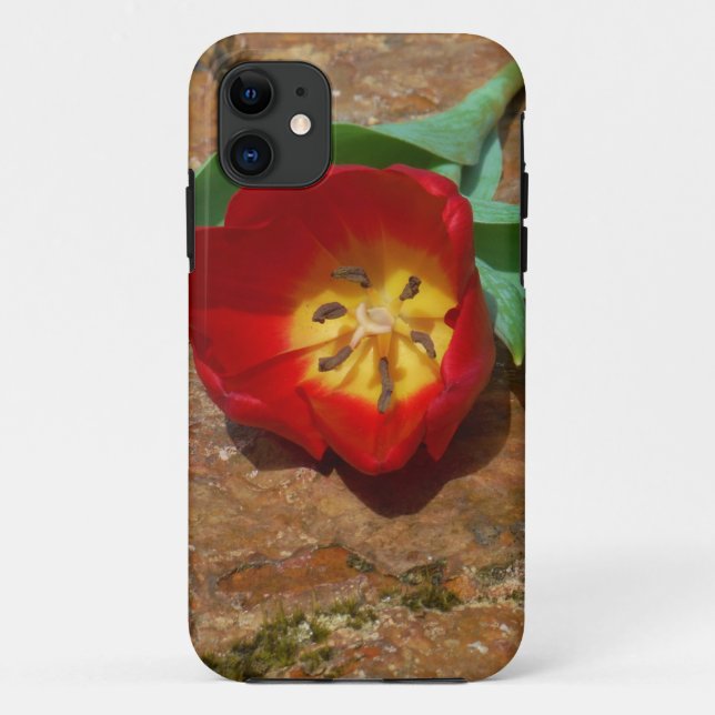 Spring Red Tulip Case-Mate iPhone Case (Back)
