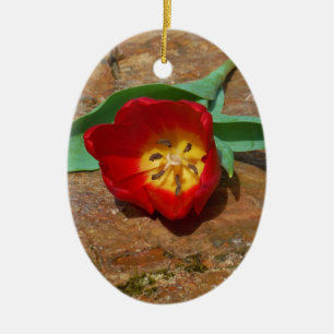 Spring Red Tulip Ceramic Tree Decoration
