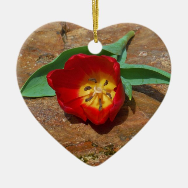 Spring Red Tulip Ceramic Tree Decoration (Front)