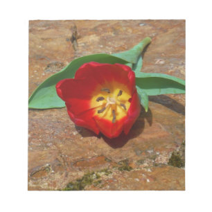 Spring Red Tulip Notepad