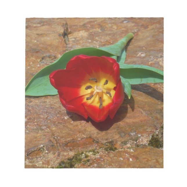 Spring Red Tulip Notepad (Front)