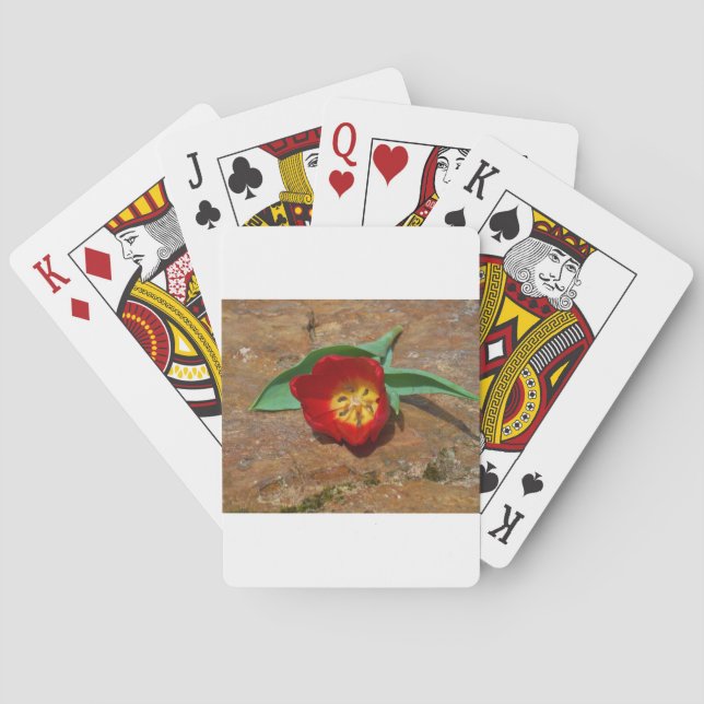 Spring Red Tulip Playing Cards (Back)