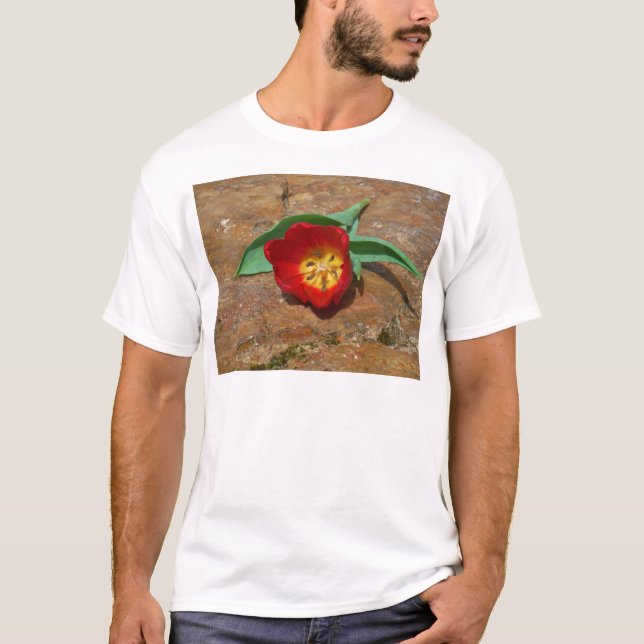 Spring Red Tulip T-Shirt (Front)