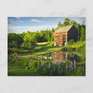 Spring Reflections in the Adirondacks, N.Y. Postcard