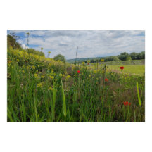 Spring riverside photography