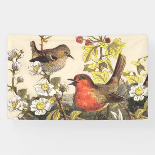 Spring Robin Birds Red Birding Banner