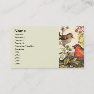 Spring Robin Birds Red Birding Business Card