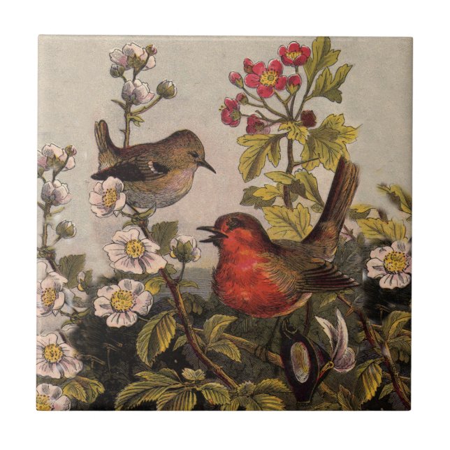 Spring Robin Birds Red Birding Ceramic Tile (Front)