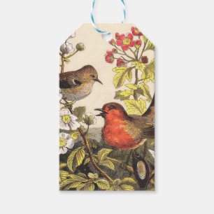 Spring Robin Birds Red Birding Gift Tags