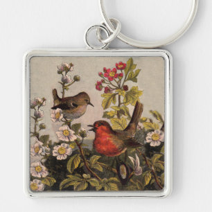 Spring Robin Birds Red Birding Key Ring