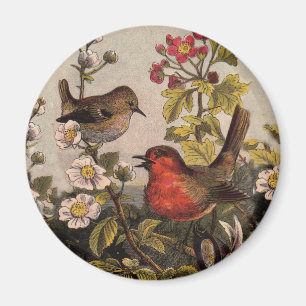 Spring Robin Birds Red Birding Magnet