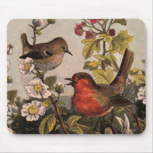 Spring Robin Birds Red Birding Mouse Pad