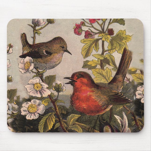 Spring Robin Birds Red Birding Mouse Pad (Front)