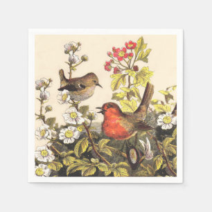 Spring Robin Birds Red Birding Napkin