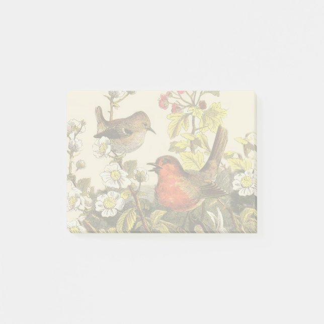 Spring Robin Birds Red Birding Post-it Notes (Front)