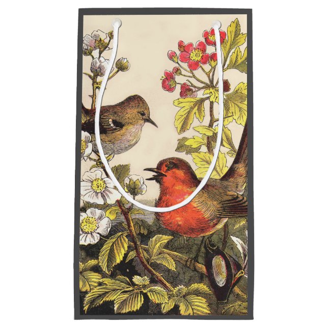 Spring Robin Birds Red Birding Small Gift Bag (Front)