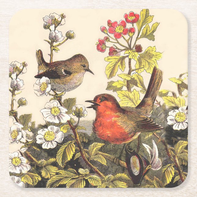 Spring Robin Birds Red Birding Square Paper Coaster (Front)