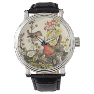 Spring Robin Birds Red Birding Watch