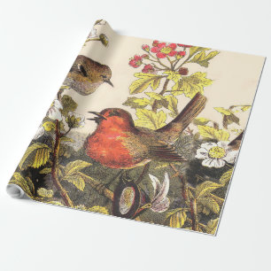 Spring Robin Birds Red Birding Wrapping Paper