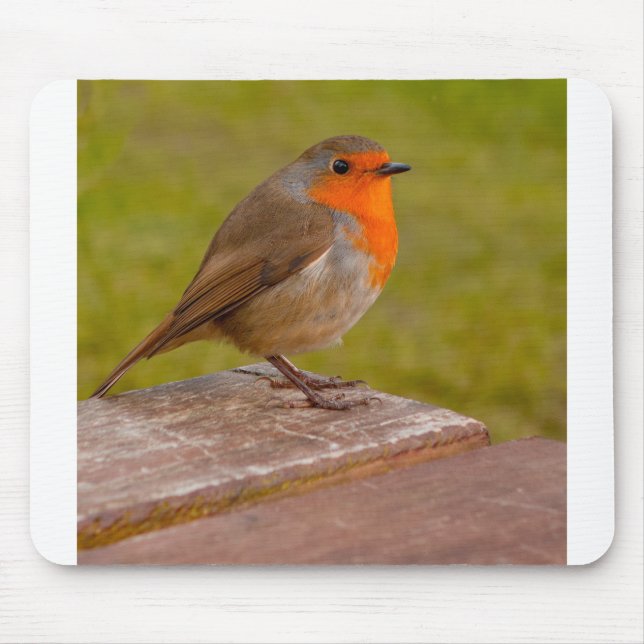 Spring Robin Mouse Pad (Front)