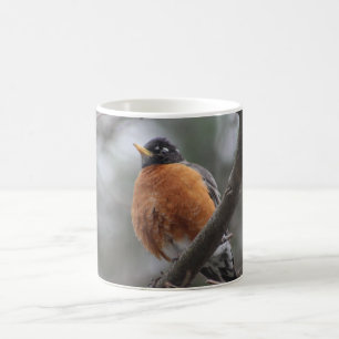 Spring Robin mug