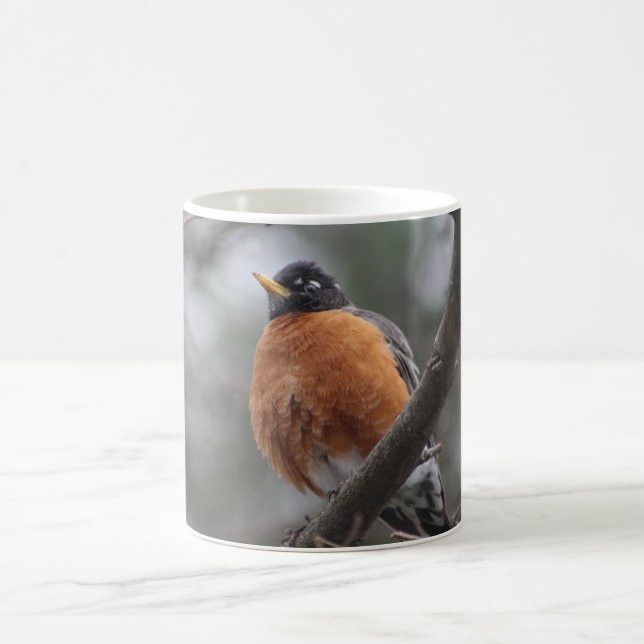 Spring Robin mug (Center)