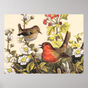 Spring Robins Bird Vintage Poster