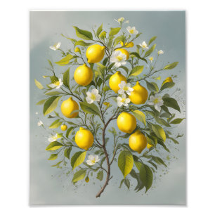 Spring’s Bounty: Lemon Tree Blossom Photo Print