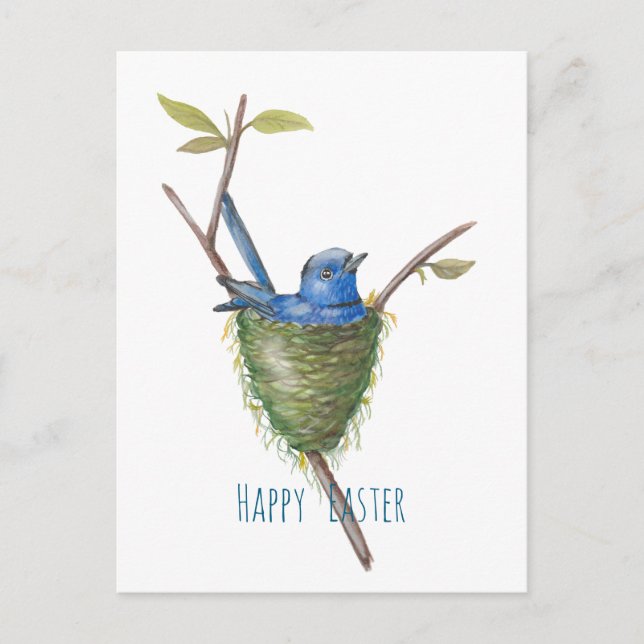 Spring’s Charm: Adorable Bird in a Nest Postcard (Front)
