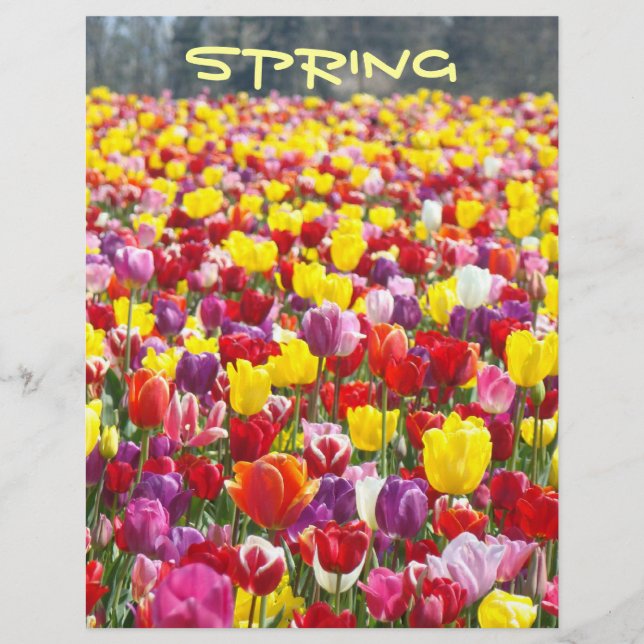 SPRING Scrapbook theme paper Tulip Flowers (Front)