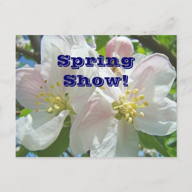 Spring Show! postcards event announcements Floral (Front)
