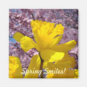 Spring Smiles! Magnets Yellow Daffodil Flowers