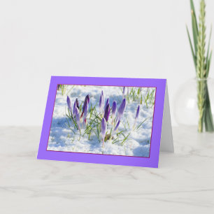 Spring Snow Mother's Day Card